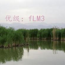 ʶ