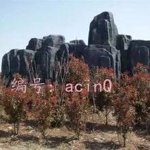 ζ