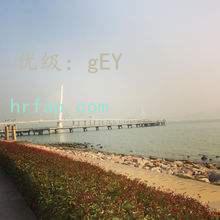 ̬
